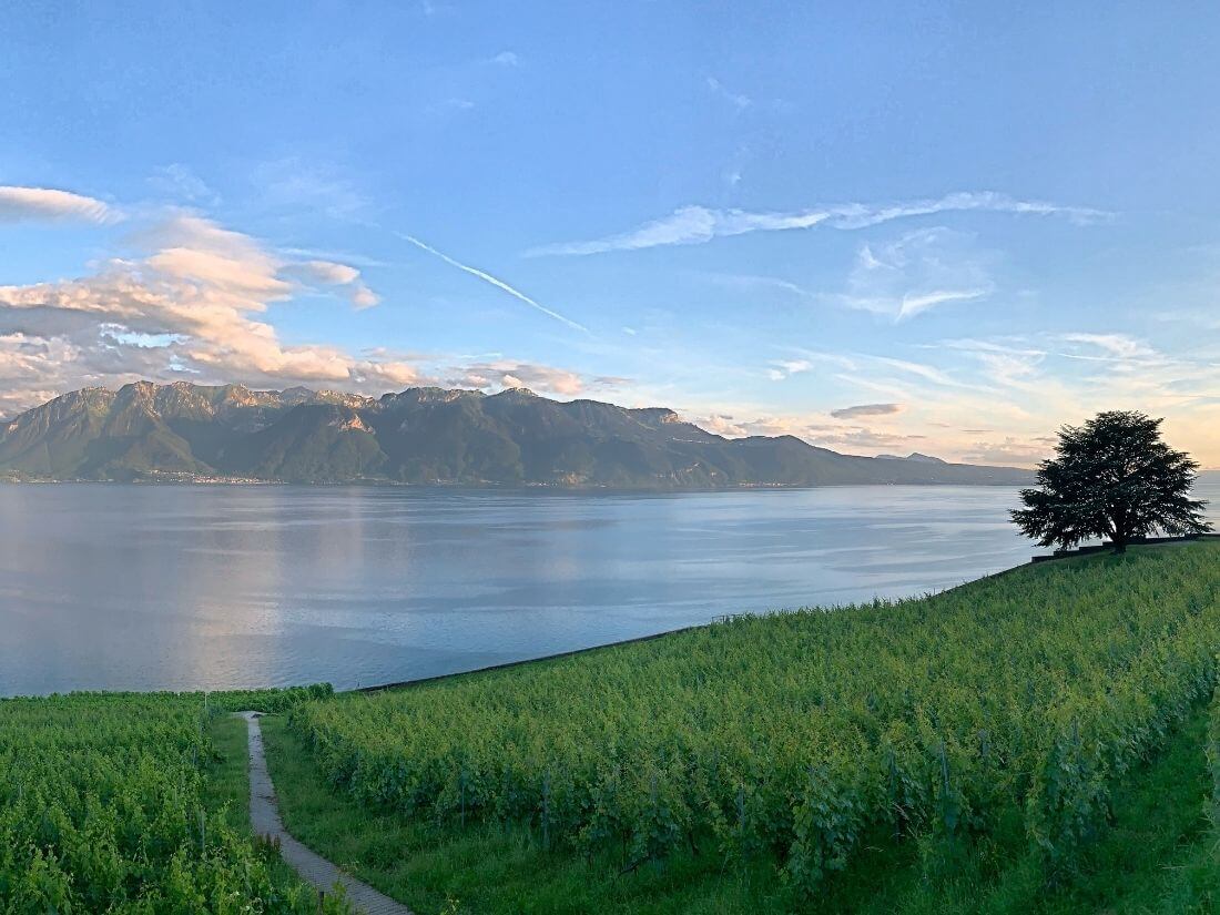Die Weinberge des Lavaux über dem Genfersee in der Abenddämmerung, gegenüber die Alpen, wenige Minuten vom Atelier von Biinii Design.