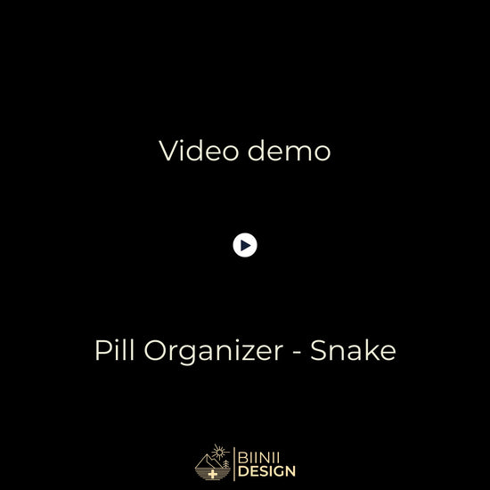 Video demo: Snake organizer opening (5 cpt filled) slide closure and premium Biinii gift packaging.